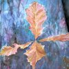 Fall