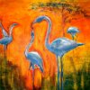 Flamingos