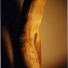 cecilia_del_fabbro_12